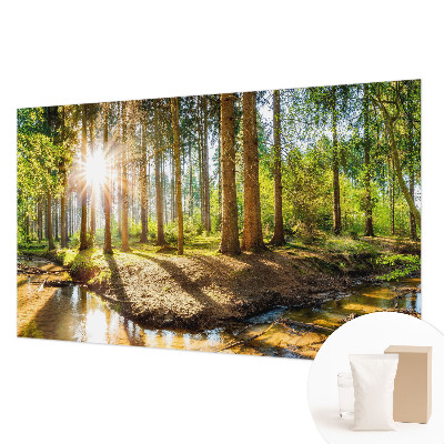 Modern wall mural for bedroom Forest idyll