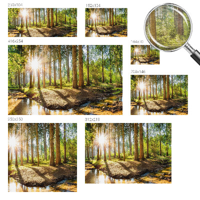 Modern wall mural for bedroom Forest idyll