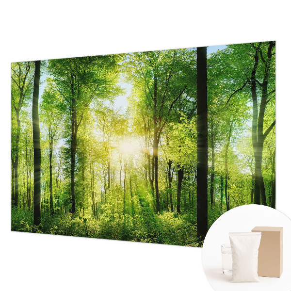 High quality wall mural wallpaper Forest harmony
