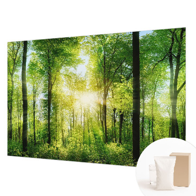 High quality wall mural wallpaper Forest harmony
