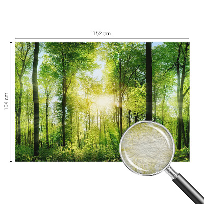 High quality wall mural wallpaper Forest harmony