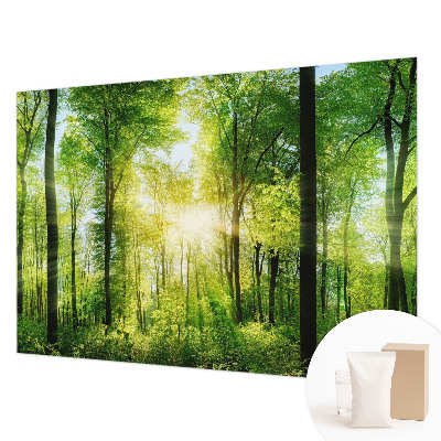High quality wall mural wallpaper Forest harmony