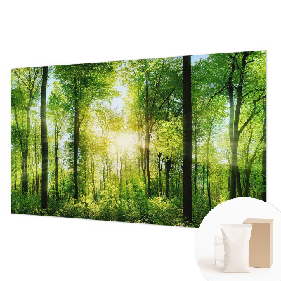 High quality wall mural wallpaper Forest harmony