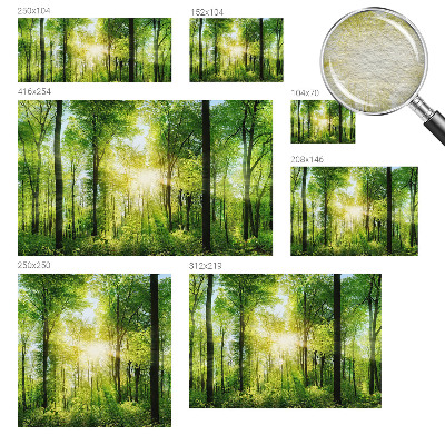 High quality wall mural wallpaper Forest harmony