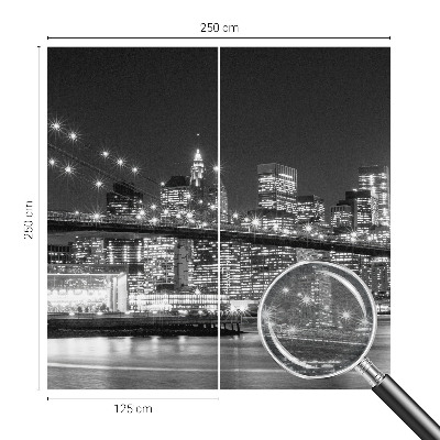 Large wall mural Night panorama