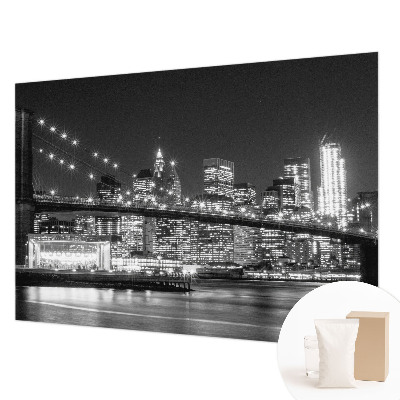 Large wall mural Night panorama