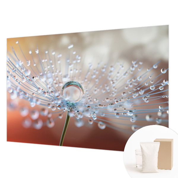 Large wall mural wallpaper A drop on a dandelion