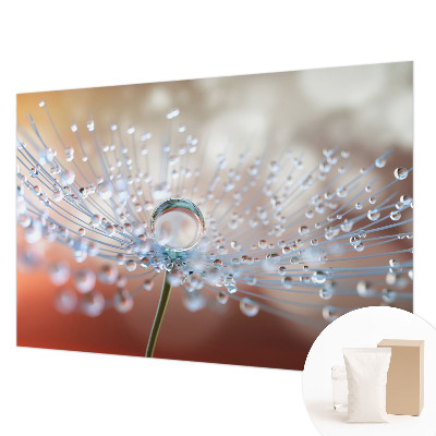 Large wall mural wallpaper A drop on a dandelion