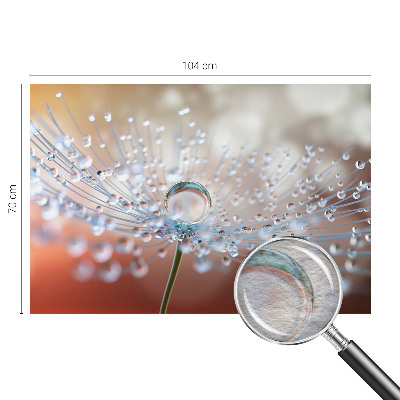 Large wall mural wallpaper A drop on a dandelion