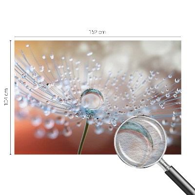 Large wall mural wallpaper A drop on a dandelion