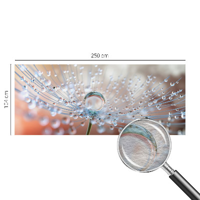 Large wall mural wallpaper A drop on a dandelion