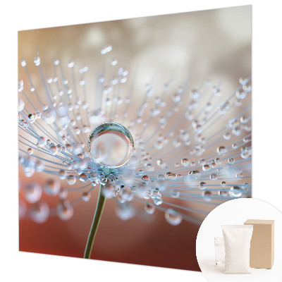Large wall mural wallpaper A drop on a dandelion