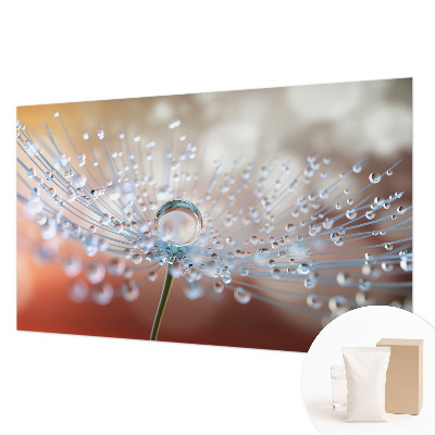 Large wall mural wallpaper A drop on a dandelion
