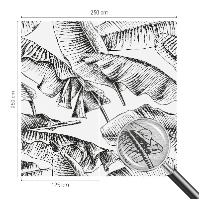 Decorative wall mural for living room Banana leaves