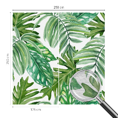Wall mural Exotic leaves