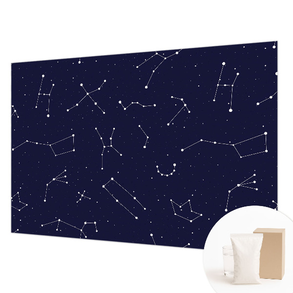Wall mural for bedroom Astro Sky