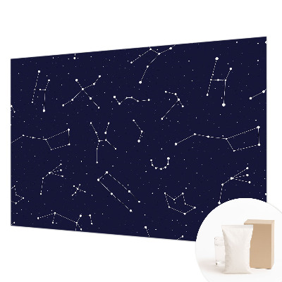 Wall mural for bedroom Astro Sky