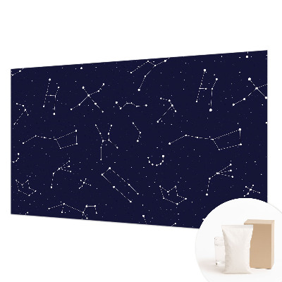 Wall mural for bedroom Astro Sky