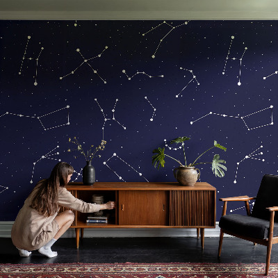 Wall mural for bedroom Astro Sky