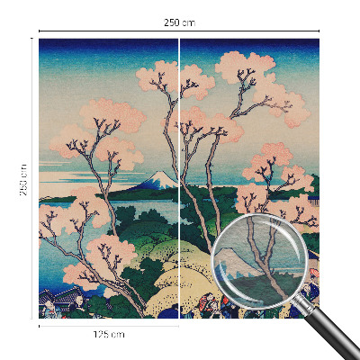 Wall mural Cherry blossoms