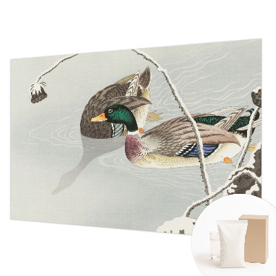 Non-woven photo wallpaper Calm ducks