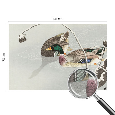Non-woven photo wallpaper Calm ducks