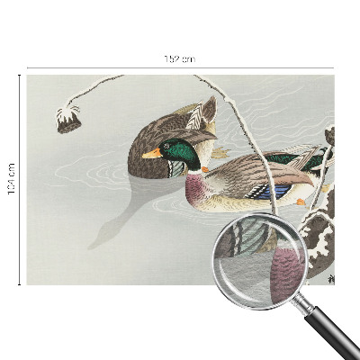 Non-woven photo wallpaper Calm ducks