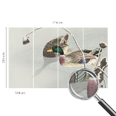 Non-woven photo wallpaper Calm ducks