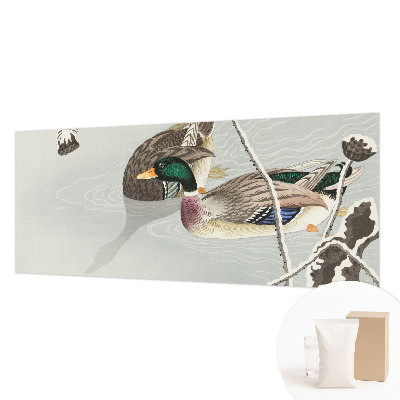 Non-woven photo wallpaper Calm ducks