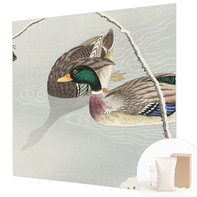Non-woven photo wallpaper Calm ducks