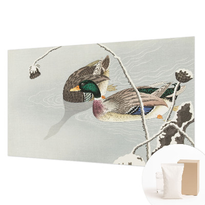 Non-woven photo wallpaper Calm ducks