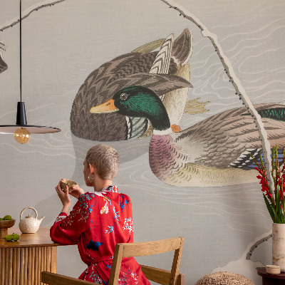 Non-woven photo wallpaper Calm ducks