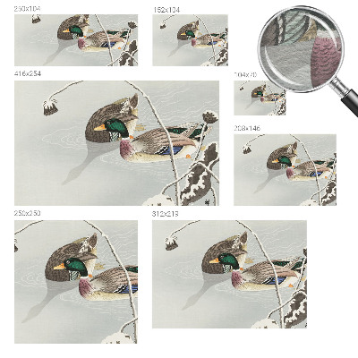 Non-woven photo wallpaper Calm ducks