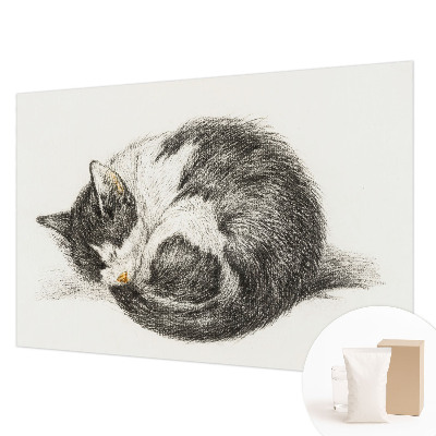Modern wall mural for bedroom Adorable kitty