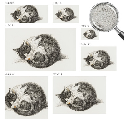 Modern wall mural for bedroom Adorable kitty