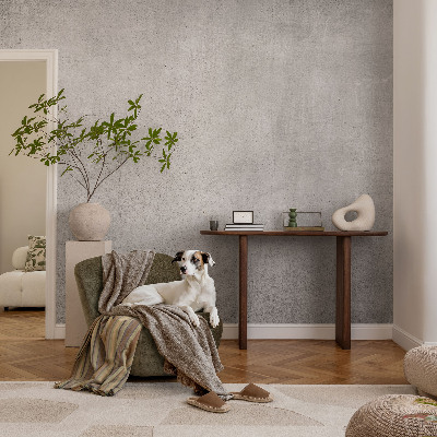 Wallpaper mural for living room Concrete pattern