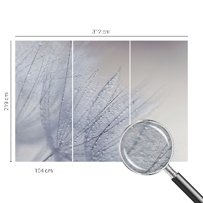 Premium wall mural for bedroom Dewy dandelion