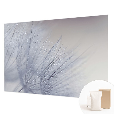 Premium wall mural for bedroom Dewy dandelion