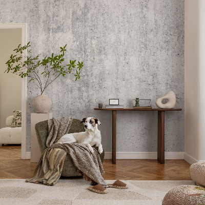 Decorative wall mural for living room Concrete wall