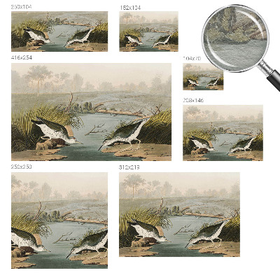 Large wall mural wallpaper A peaceful landscape