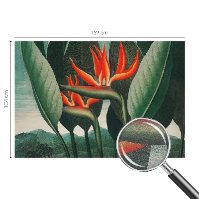 Premium photo wallpaper Exotic flowers