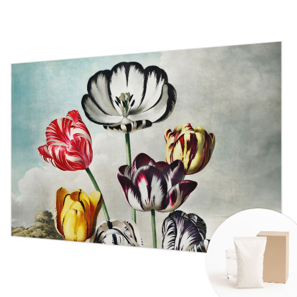 High quality wall mural wallpaper Colorful tulips