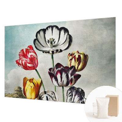 High quality wall mural wallpaper Colorful tulips
