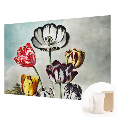 High quality wall mural wallpaper Colorful tulips