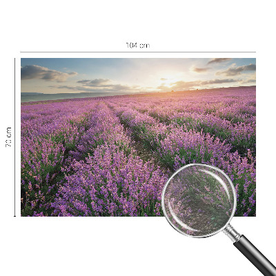 Large wall mural wallpaper Lavender fields