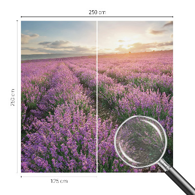 Large wall mural wallpaper Lavender fields