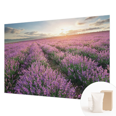Large wall mural wallpaper Lavender fields