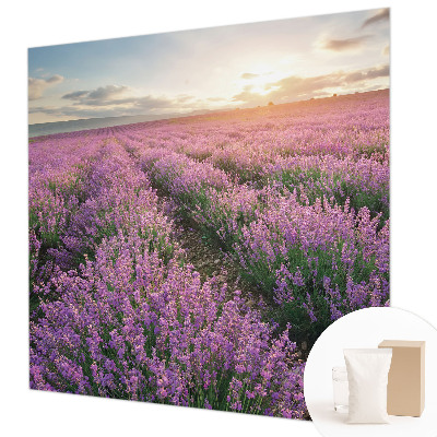 Large wall mural wallpaper Lavender fields