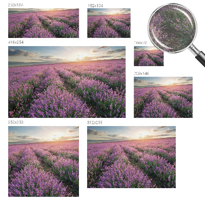 Large wall mural wallpaper Lavender fields
