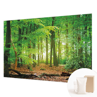 Modern wall mural Green forest